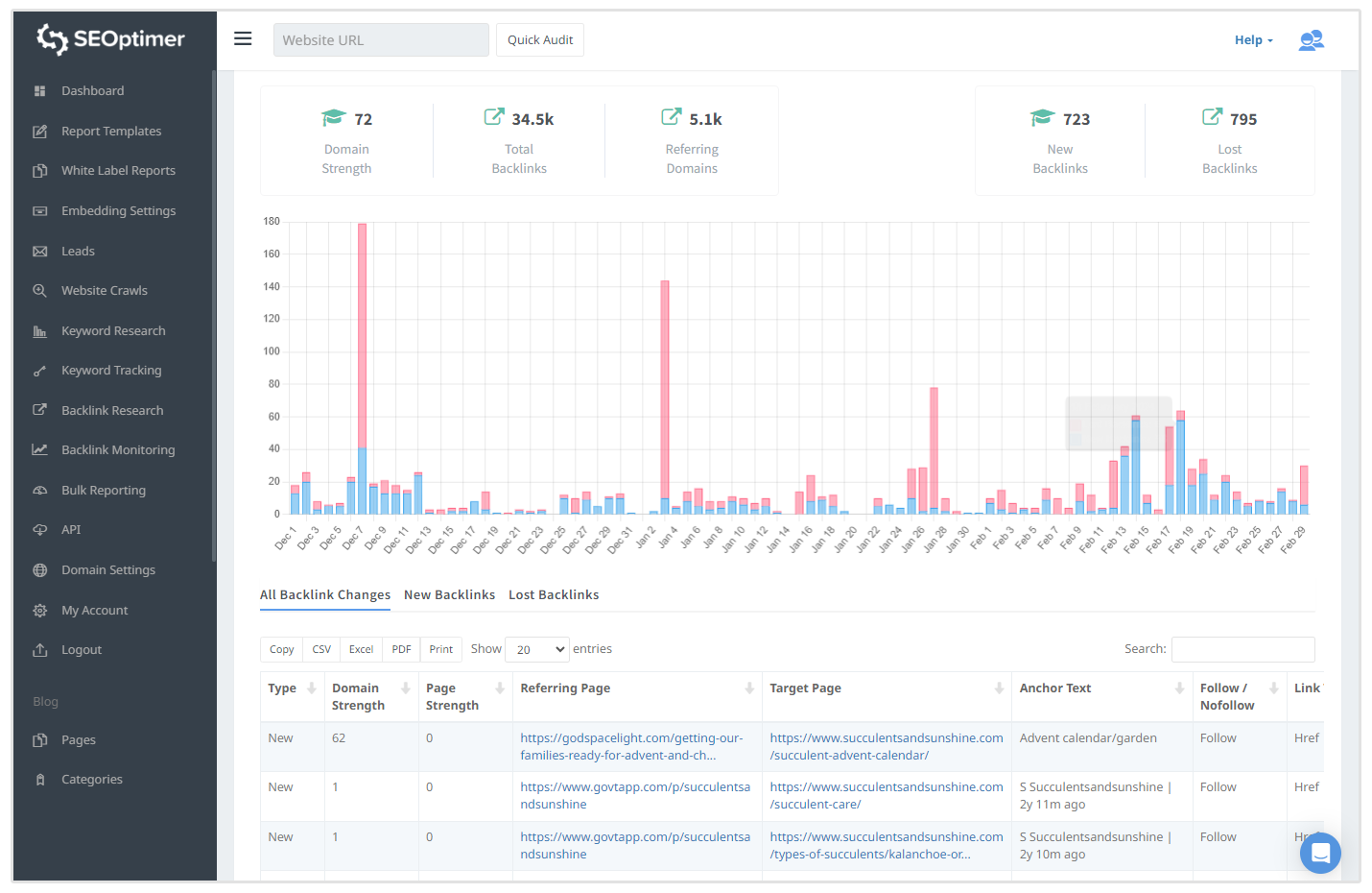 Pemantauan Backlink